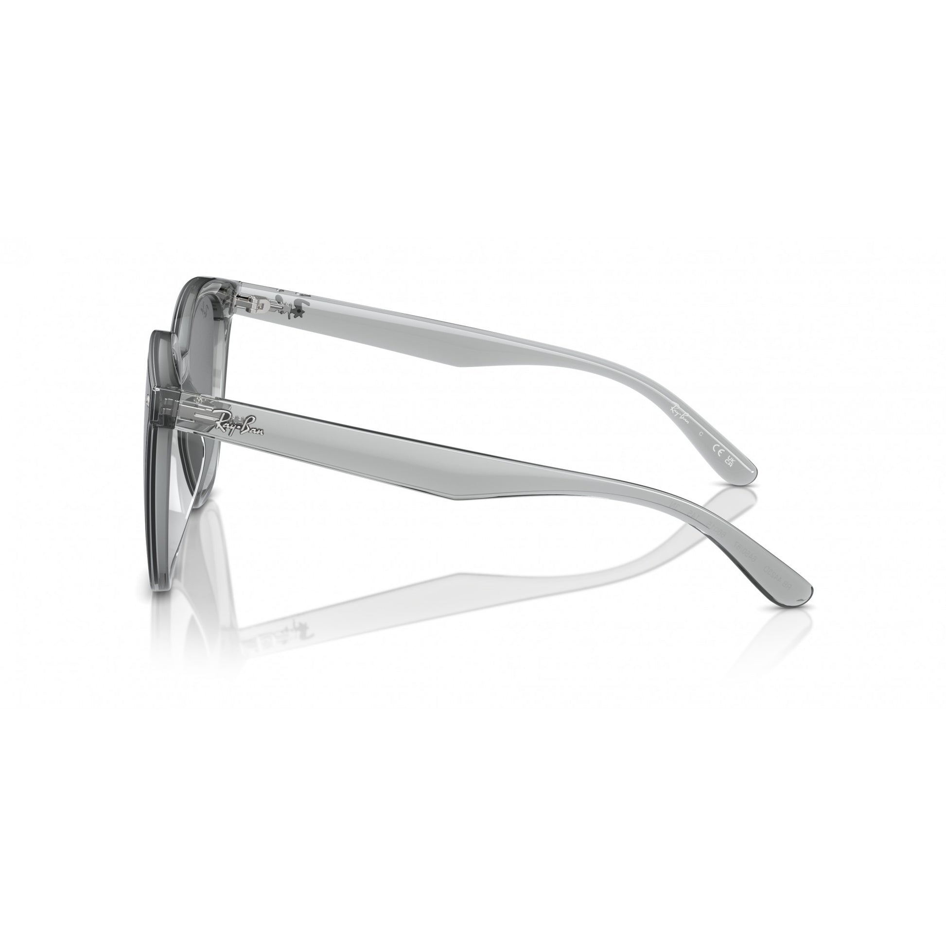 Ray-Ban 0RB4423D