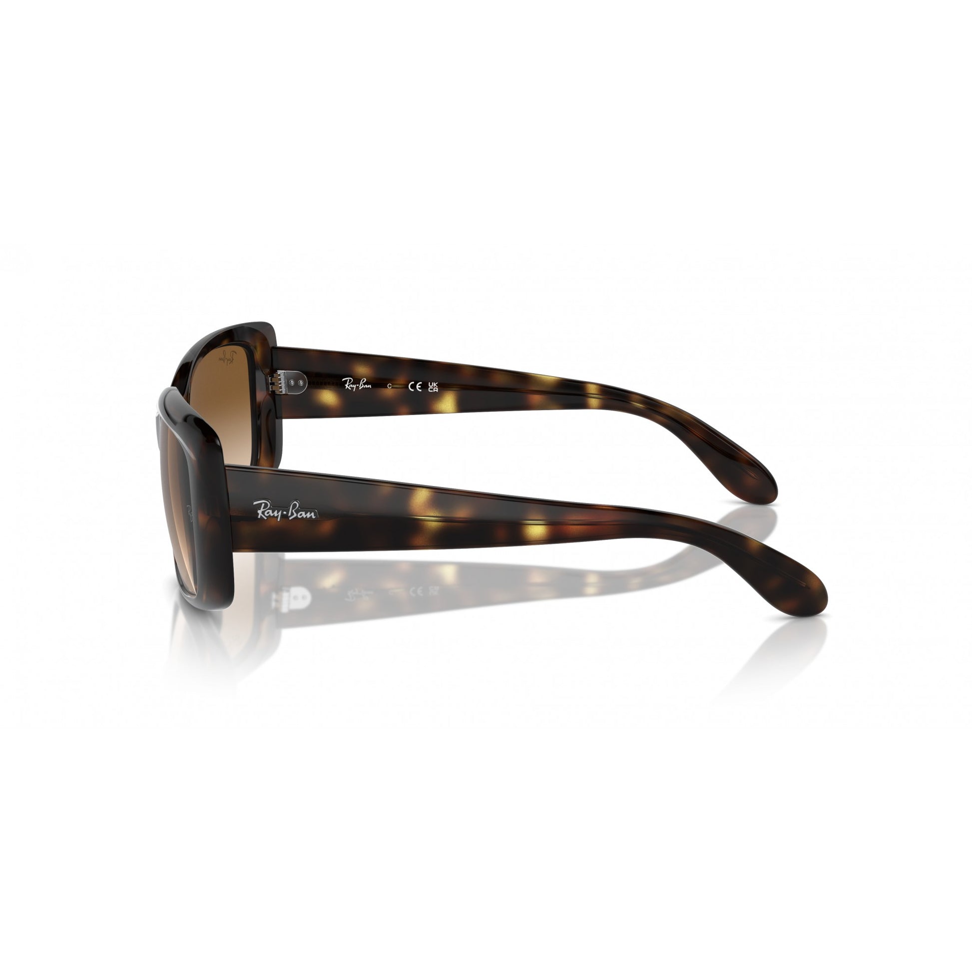 Ray-Ban 0RB4389