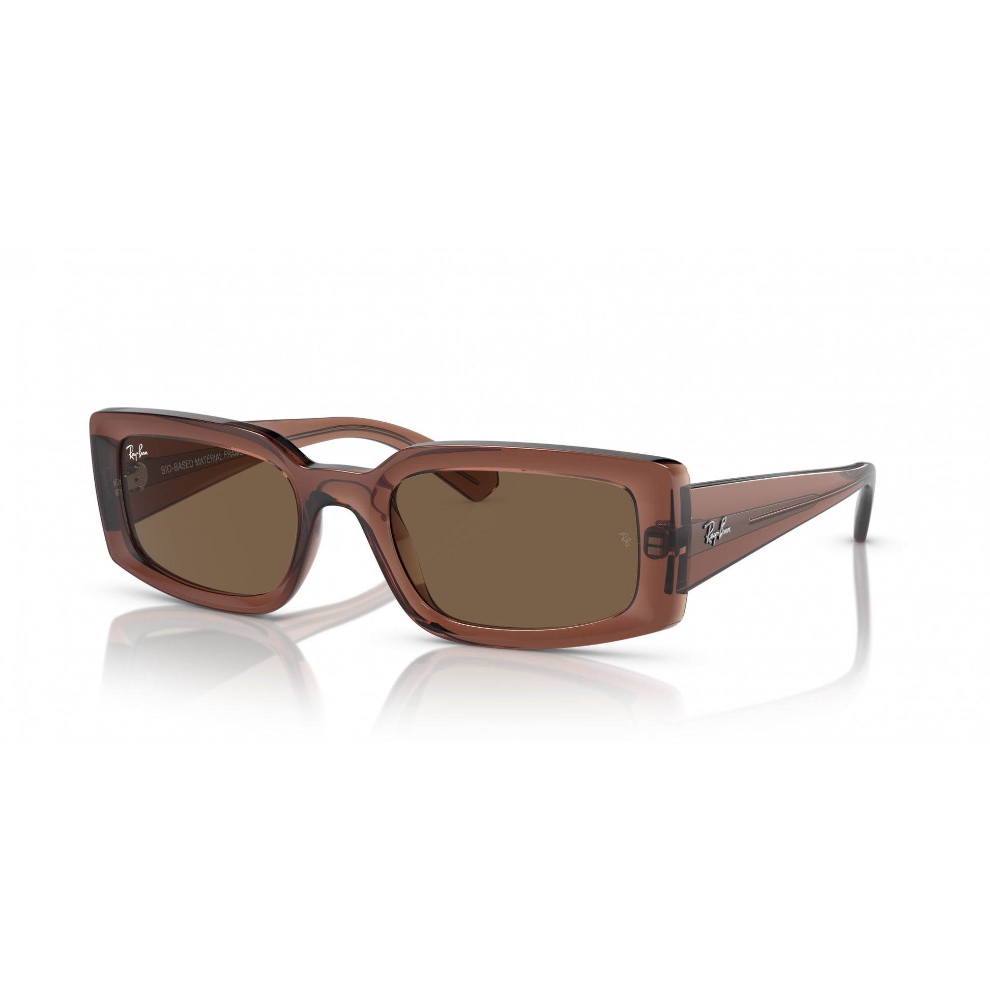 Ray-Ban 0RB4395