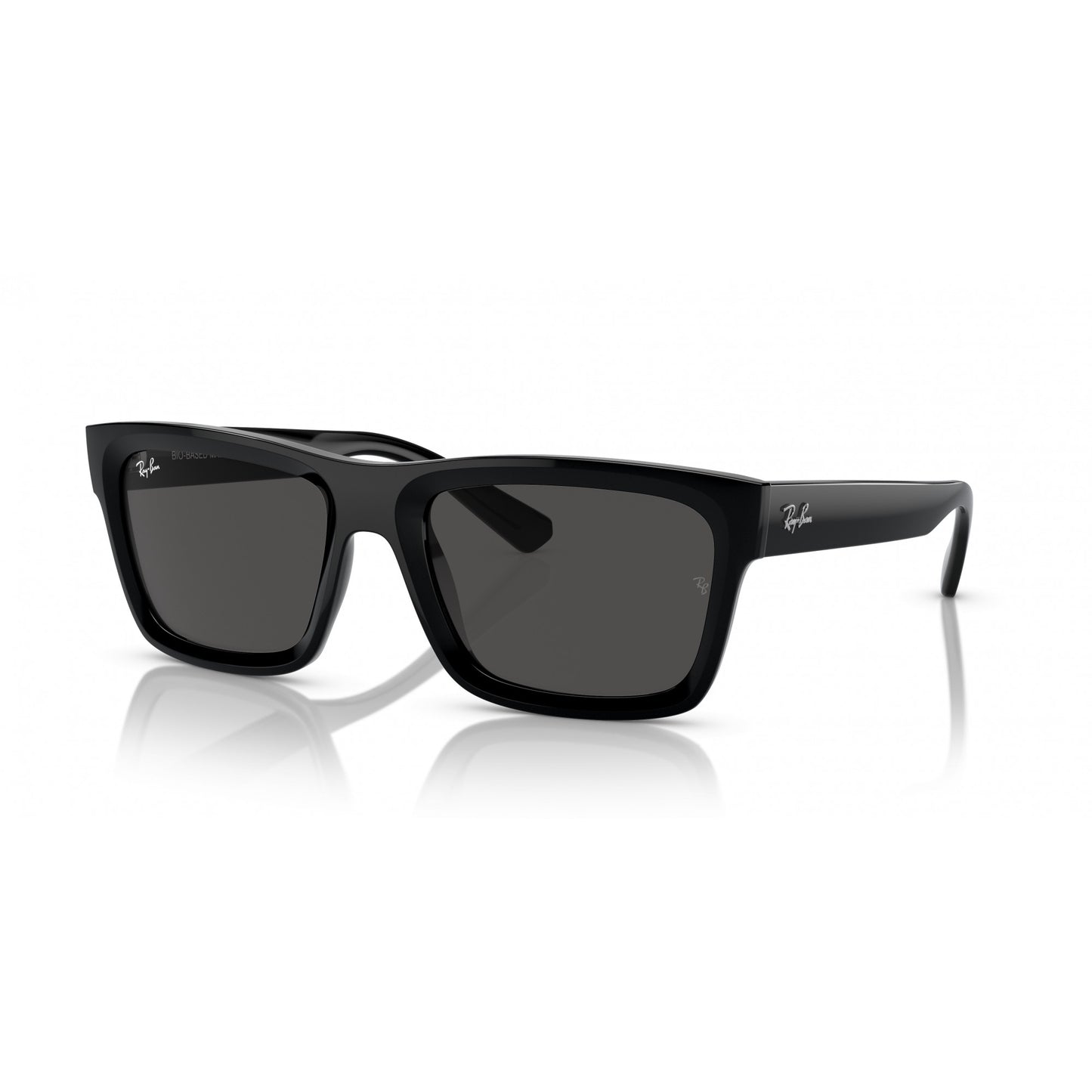 Ray-Ban 0RB4396