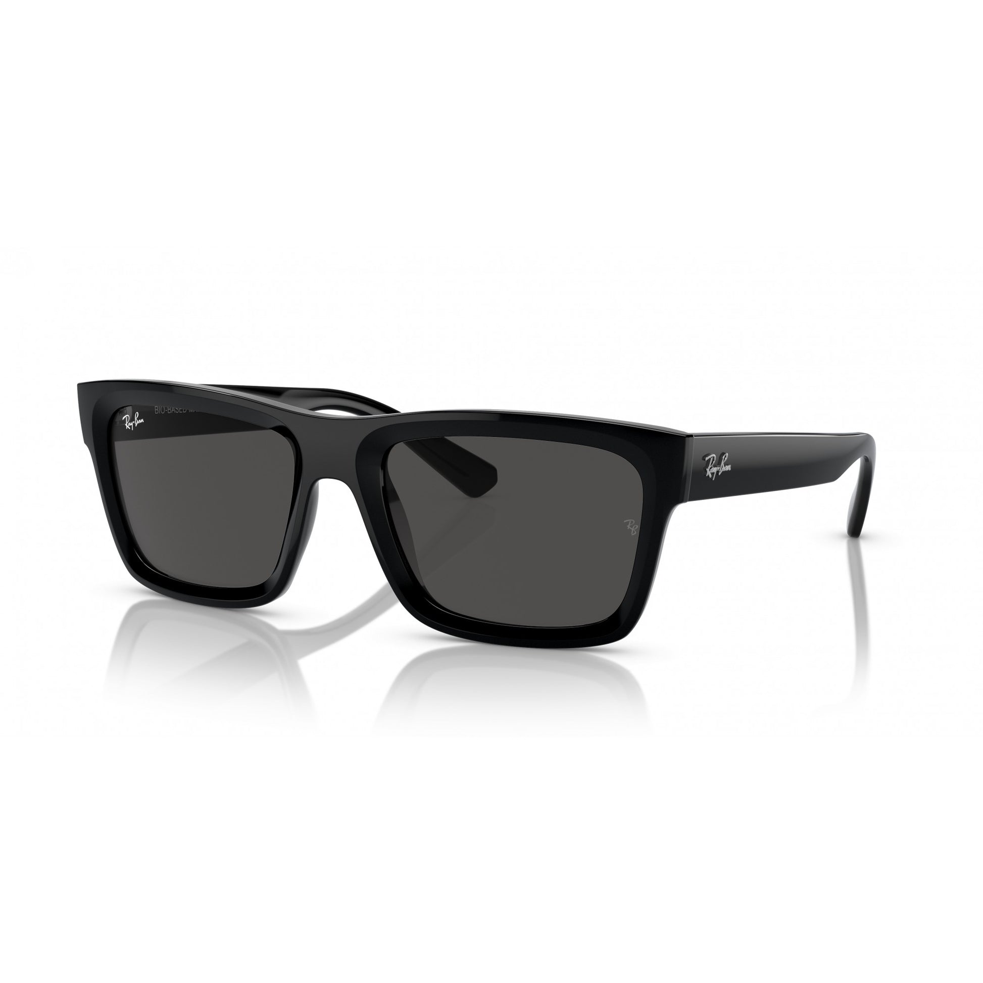 Ray-Ban 0RB4396