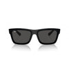 Ray-Ban 0RB4396