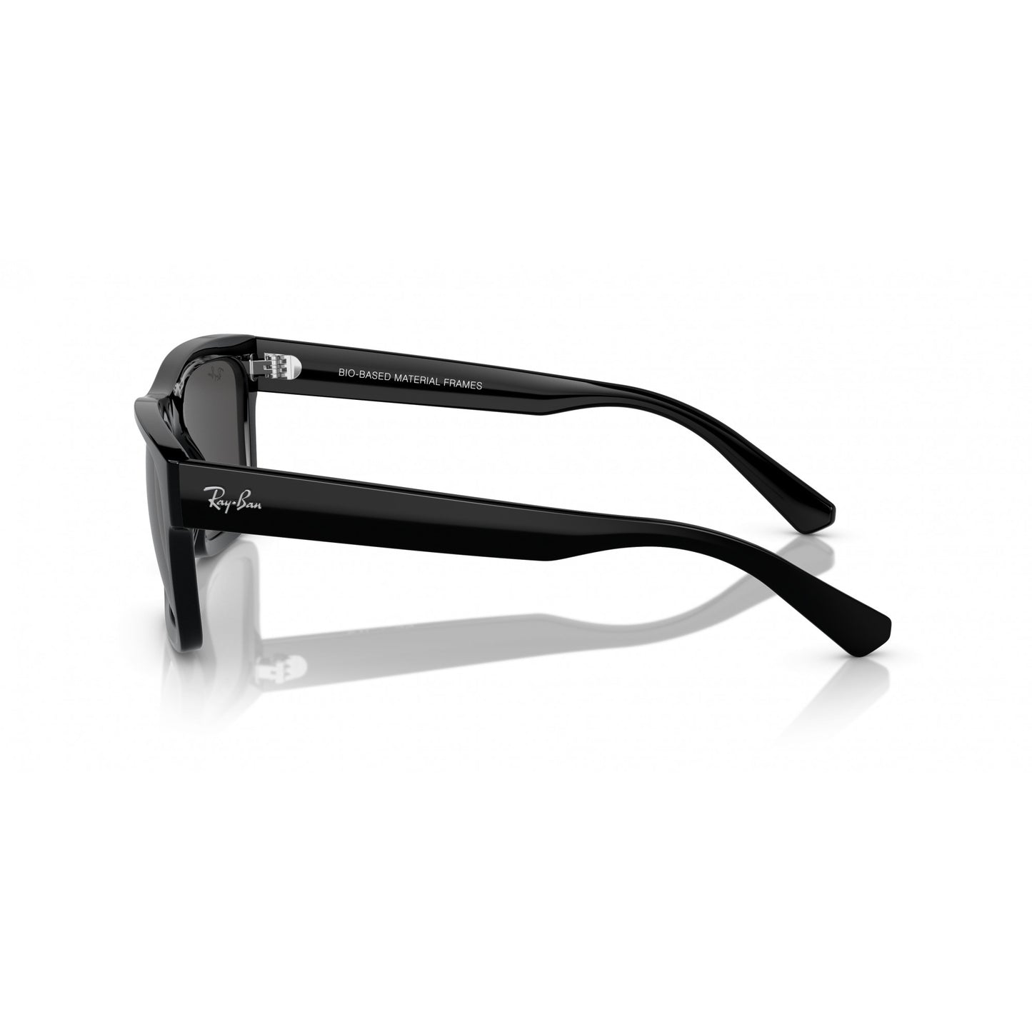 Ray-Ban 0RB4396