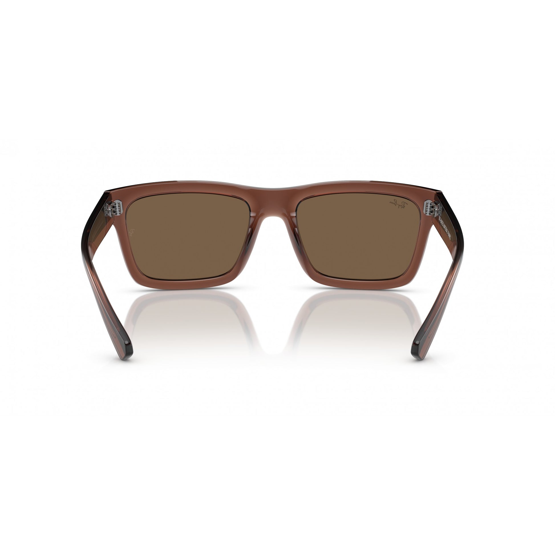 Ray-Ban 0RB4396