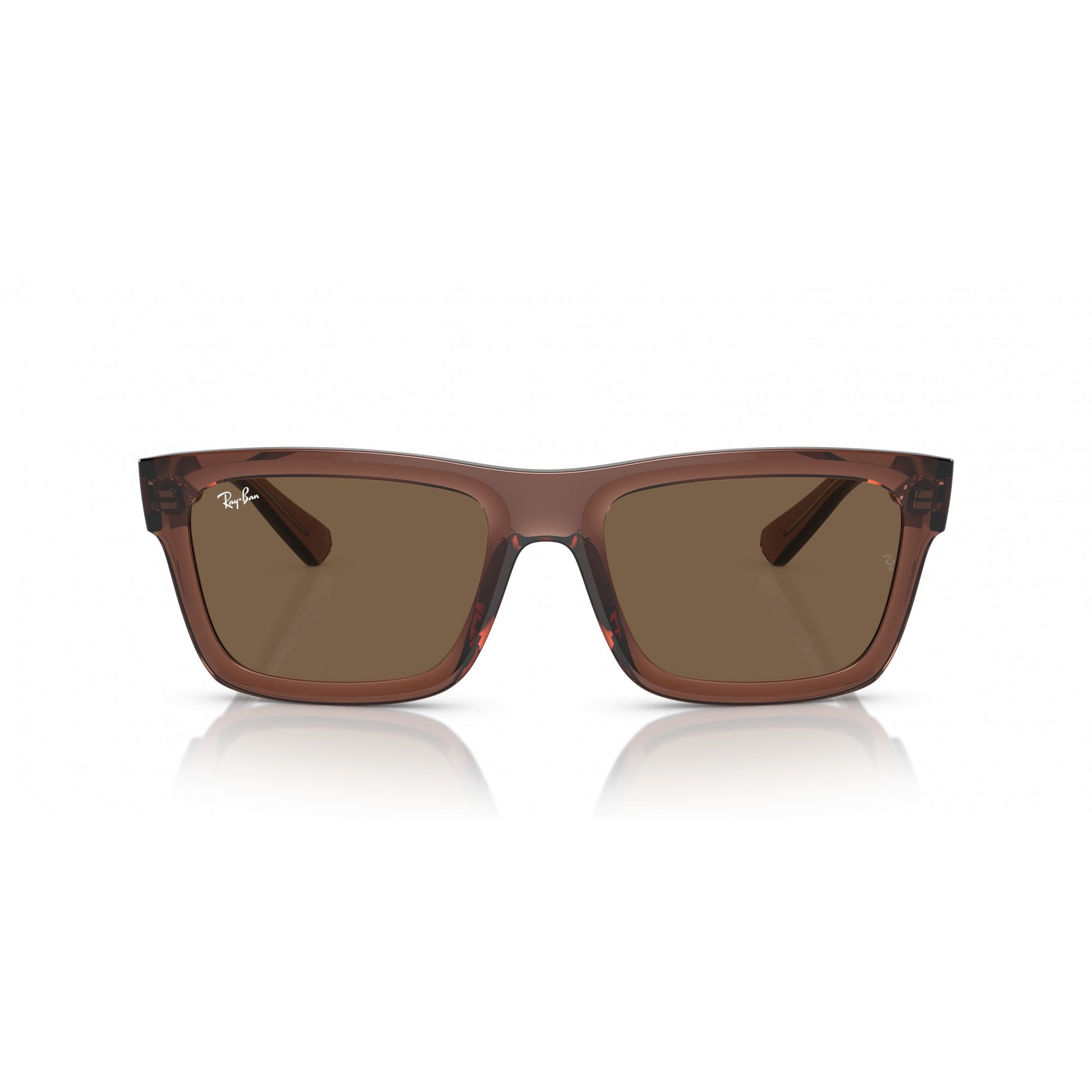 Ray-Ban 0RB4396