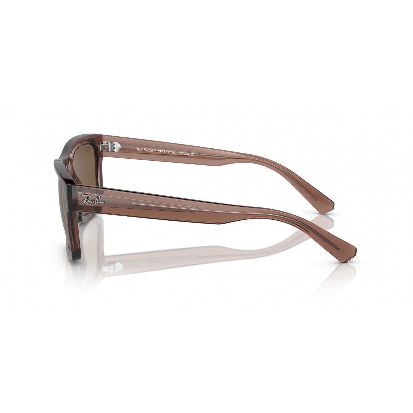 Ray-Ban 0RB4396