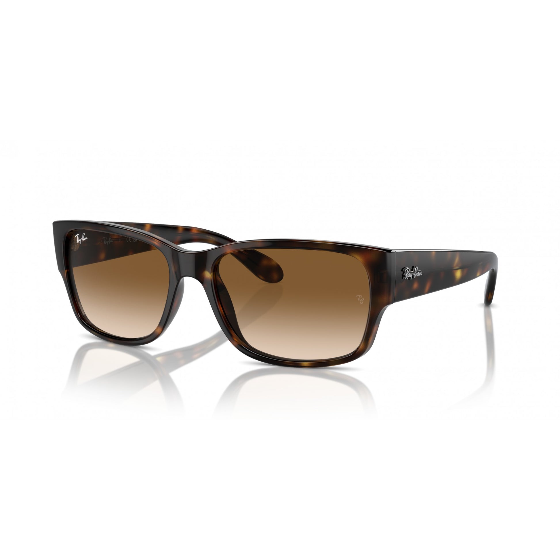 Ray-Ban 0RB4388