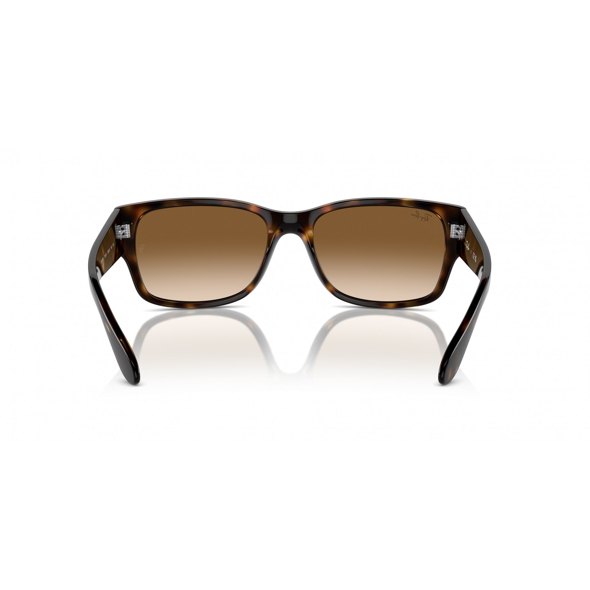 Ray-Ban 0RB4388