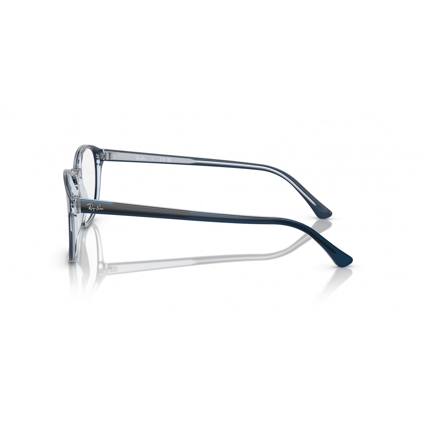 Ray-Ban 0RX5417