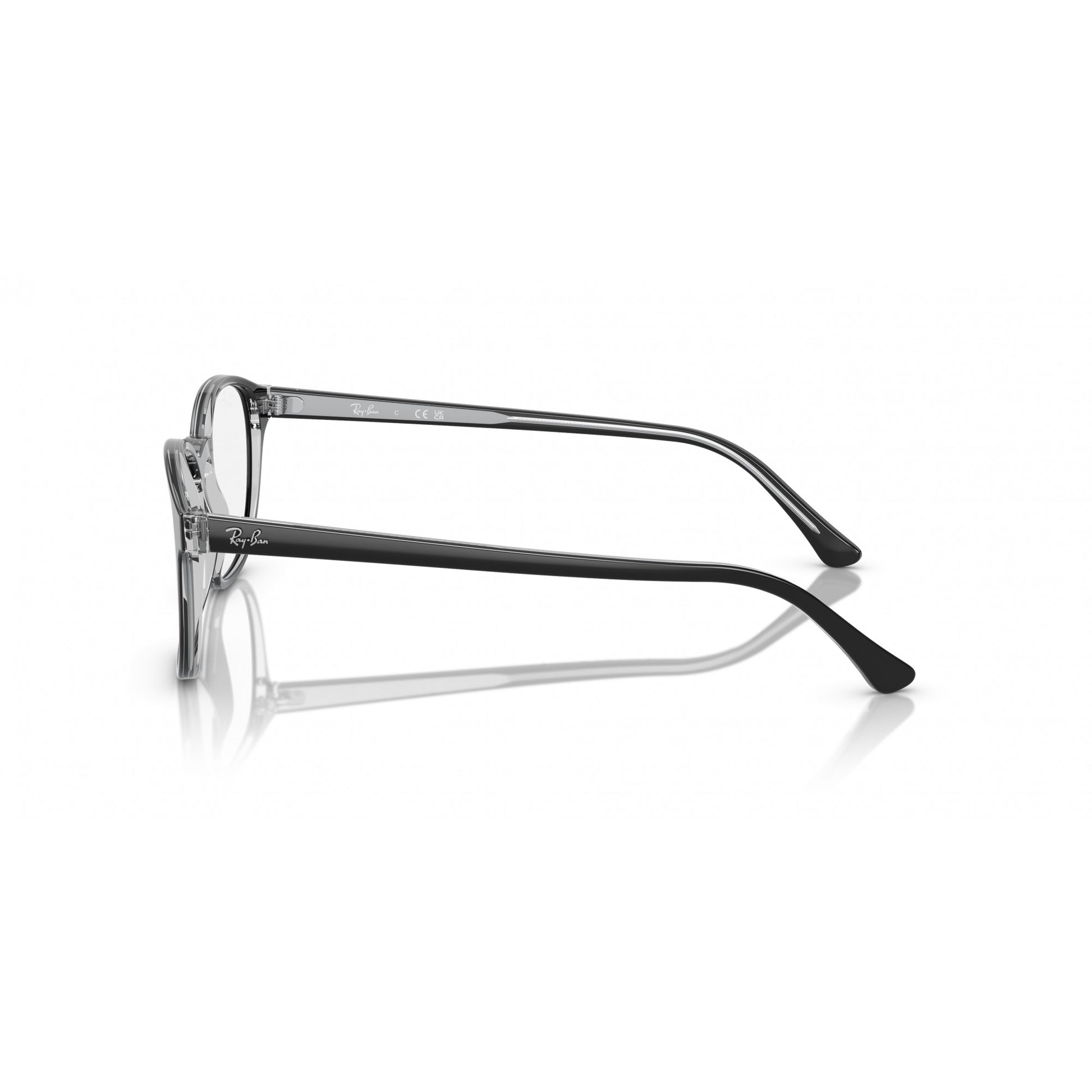 Ray-Ban 0RX5417
