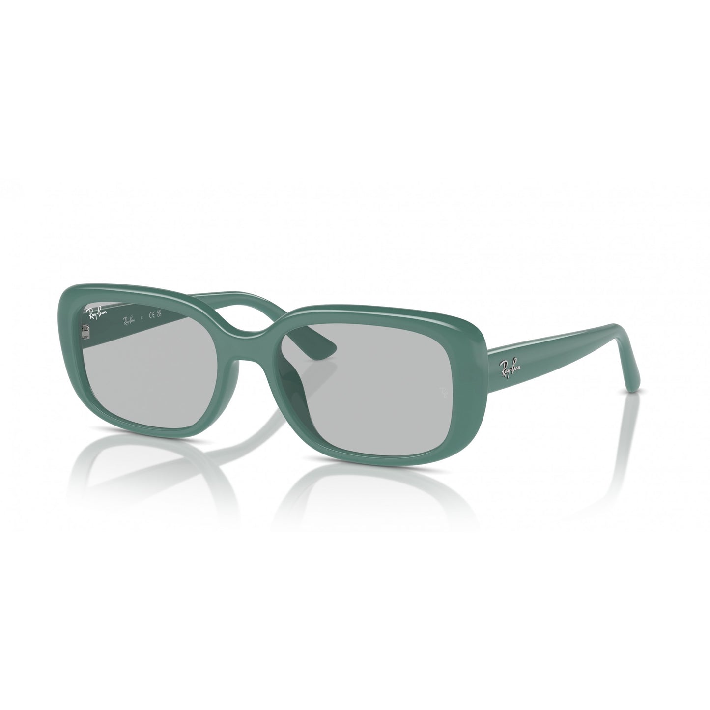 Ray-Ban 0RB4421D