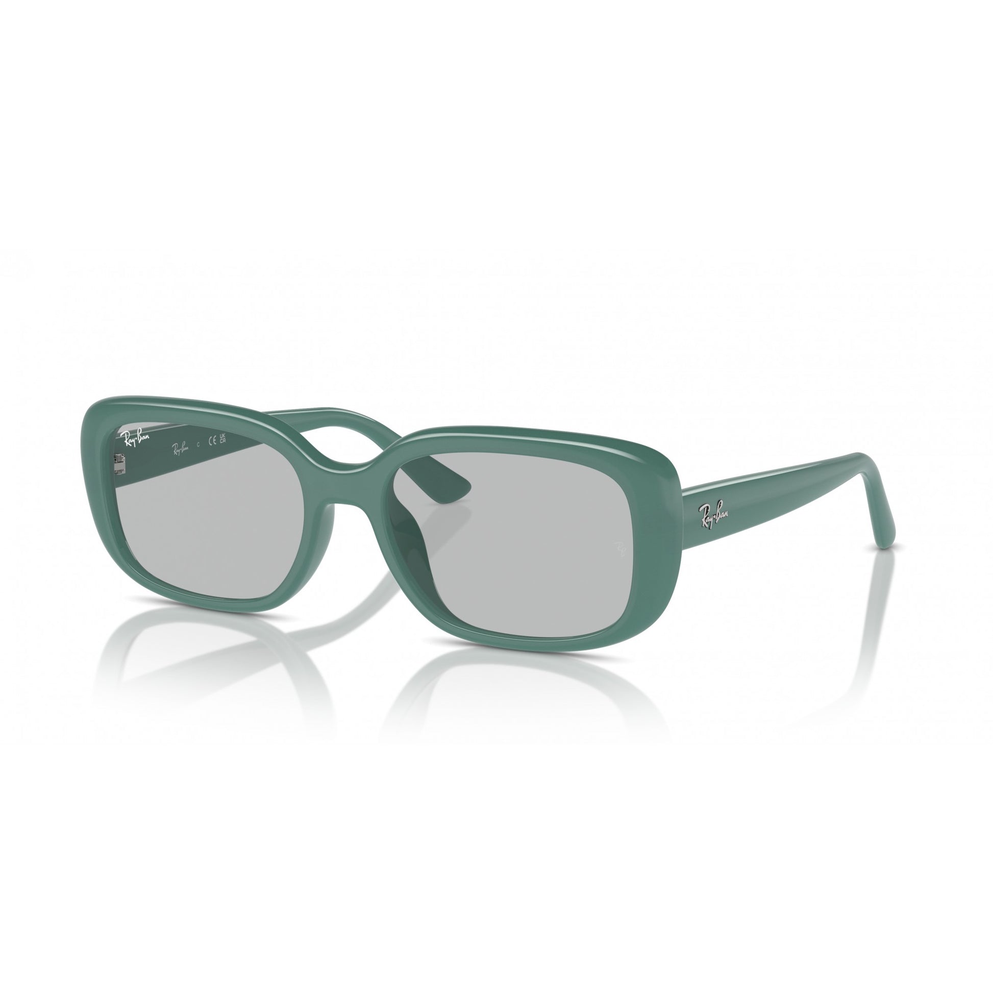 Ray-Ban 0RB4421D