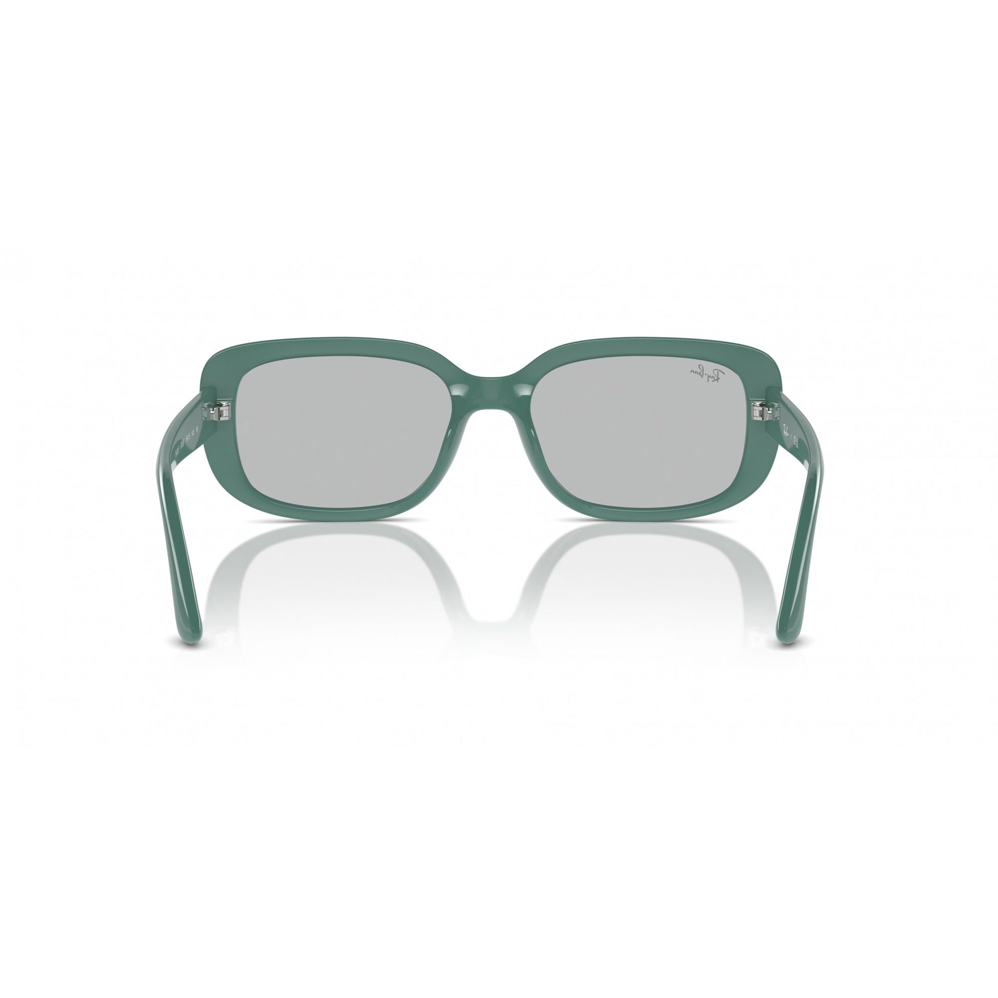 Ray-Ban 0RB4421D