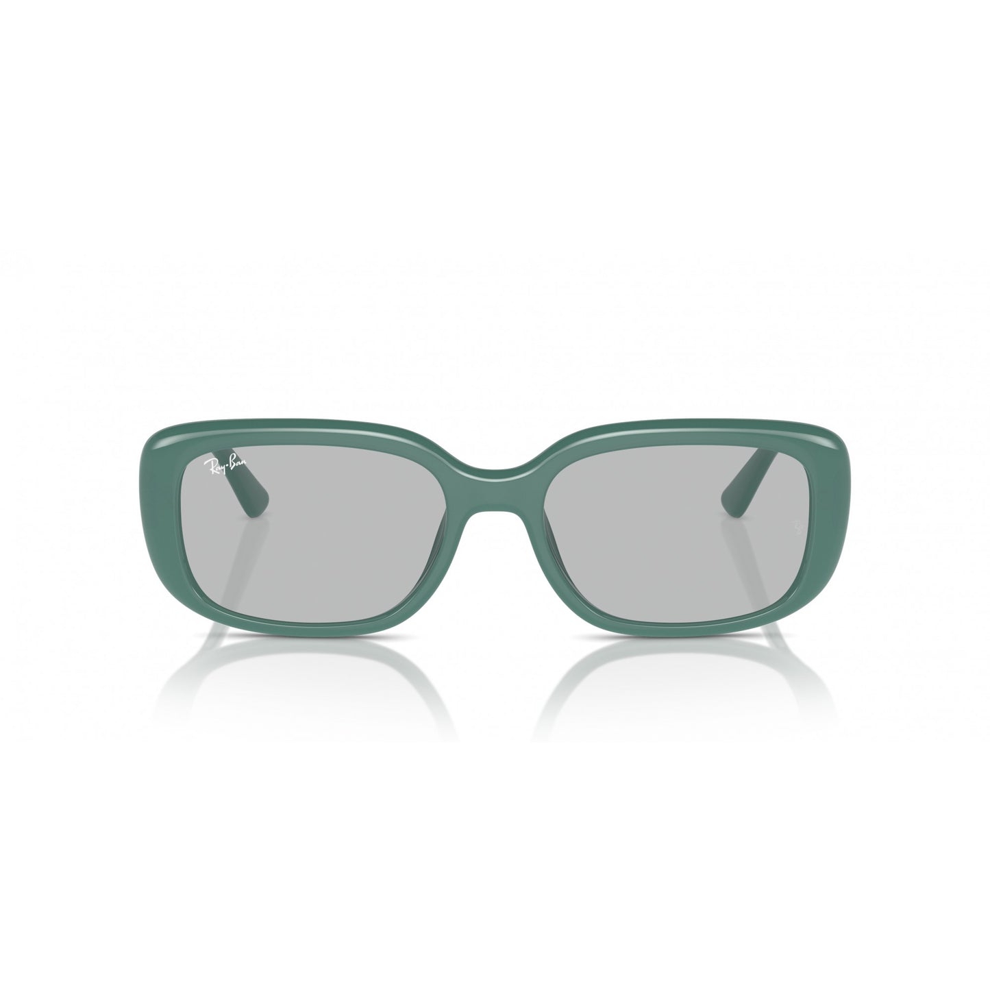 Ray-Ban 0RB4421D