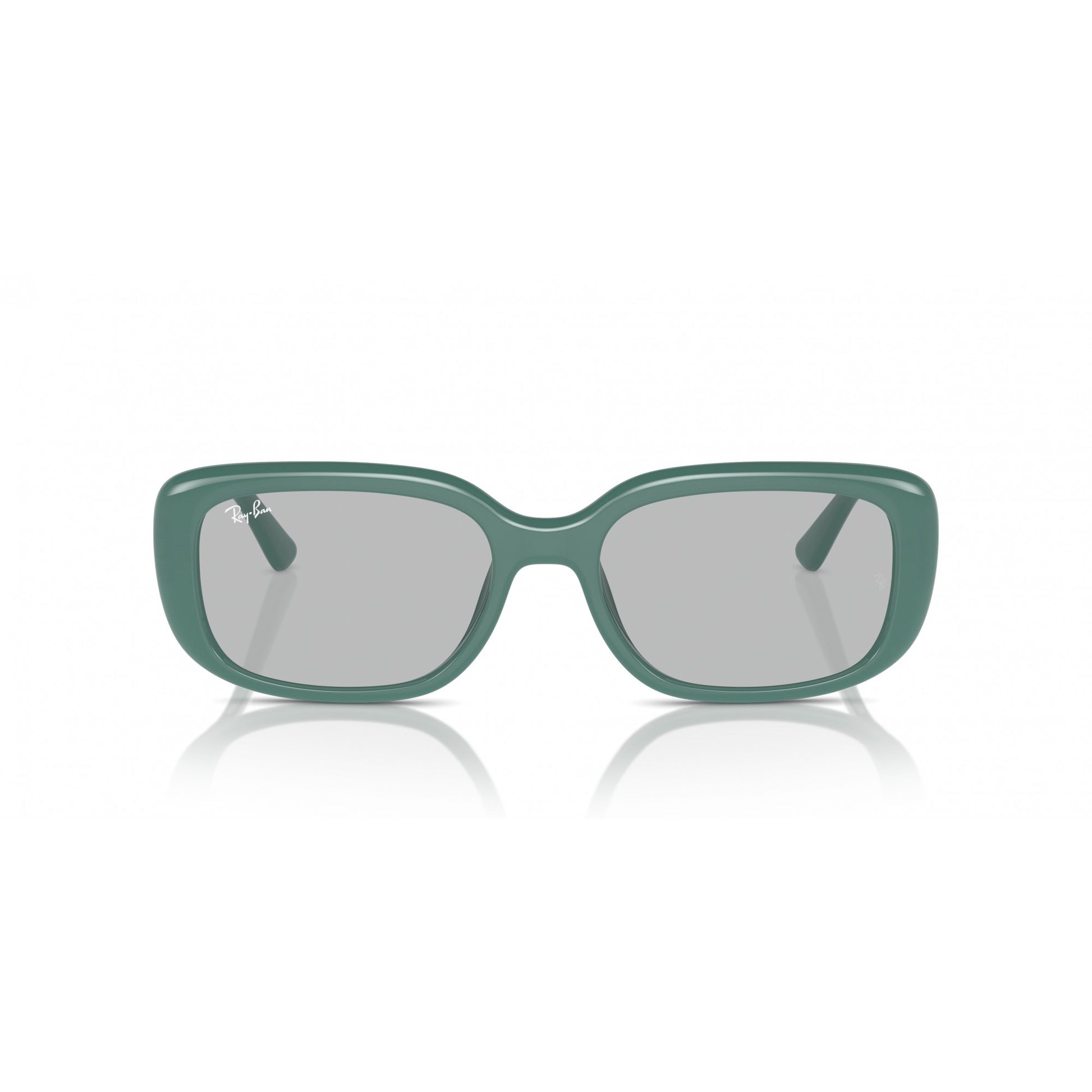 Ray-Ban 0RB4421D