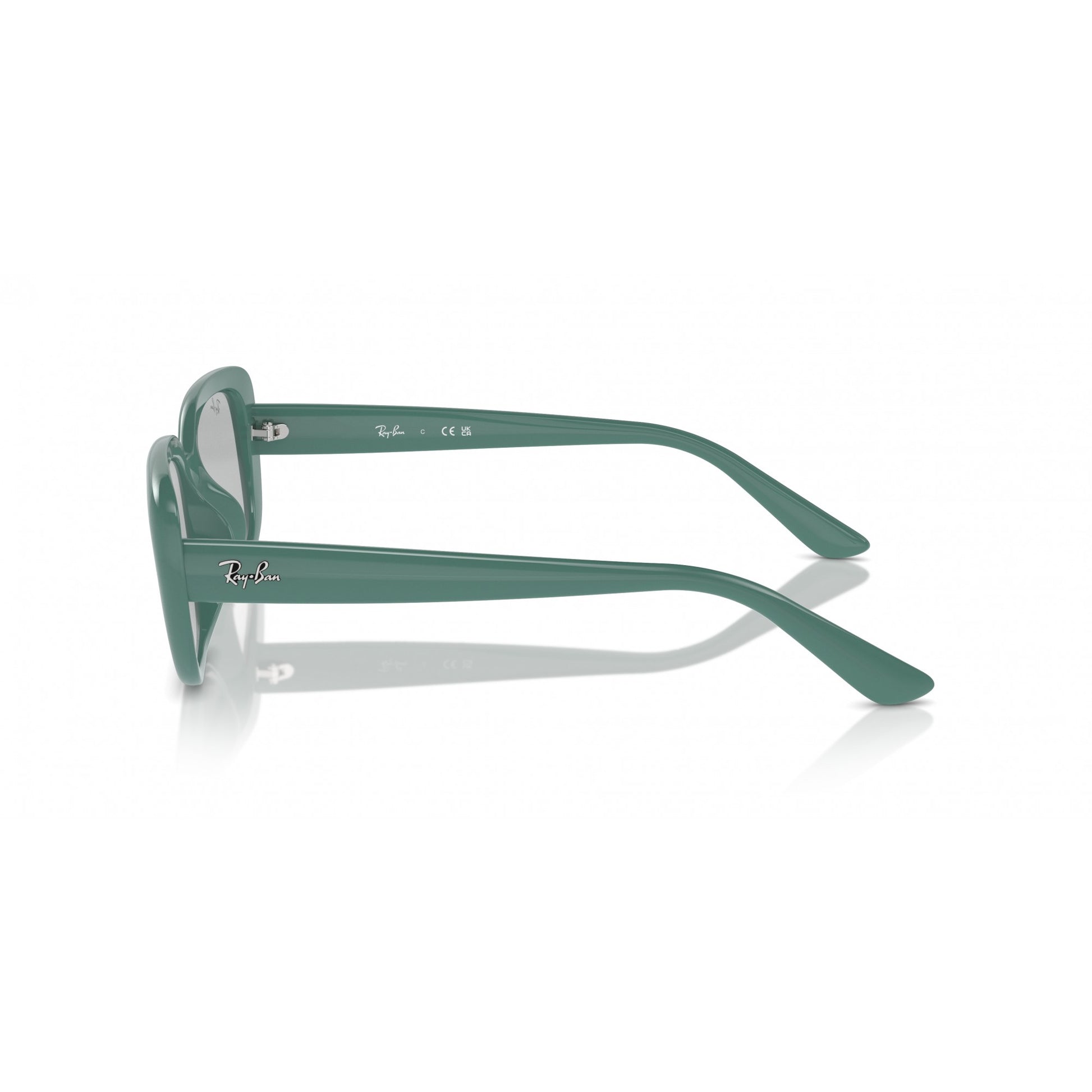 Ray-Ban 0RB4421D