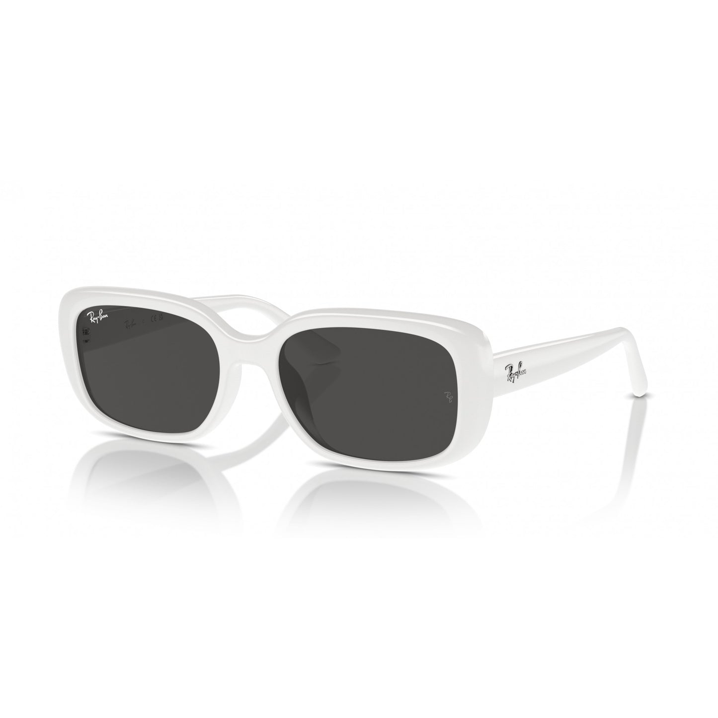 Ray-Ban 0RB4421D