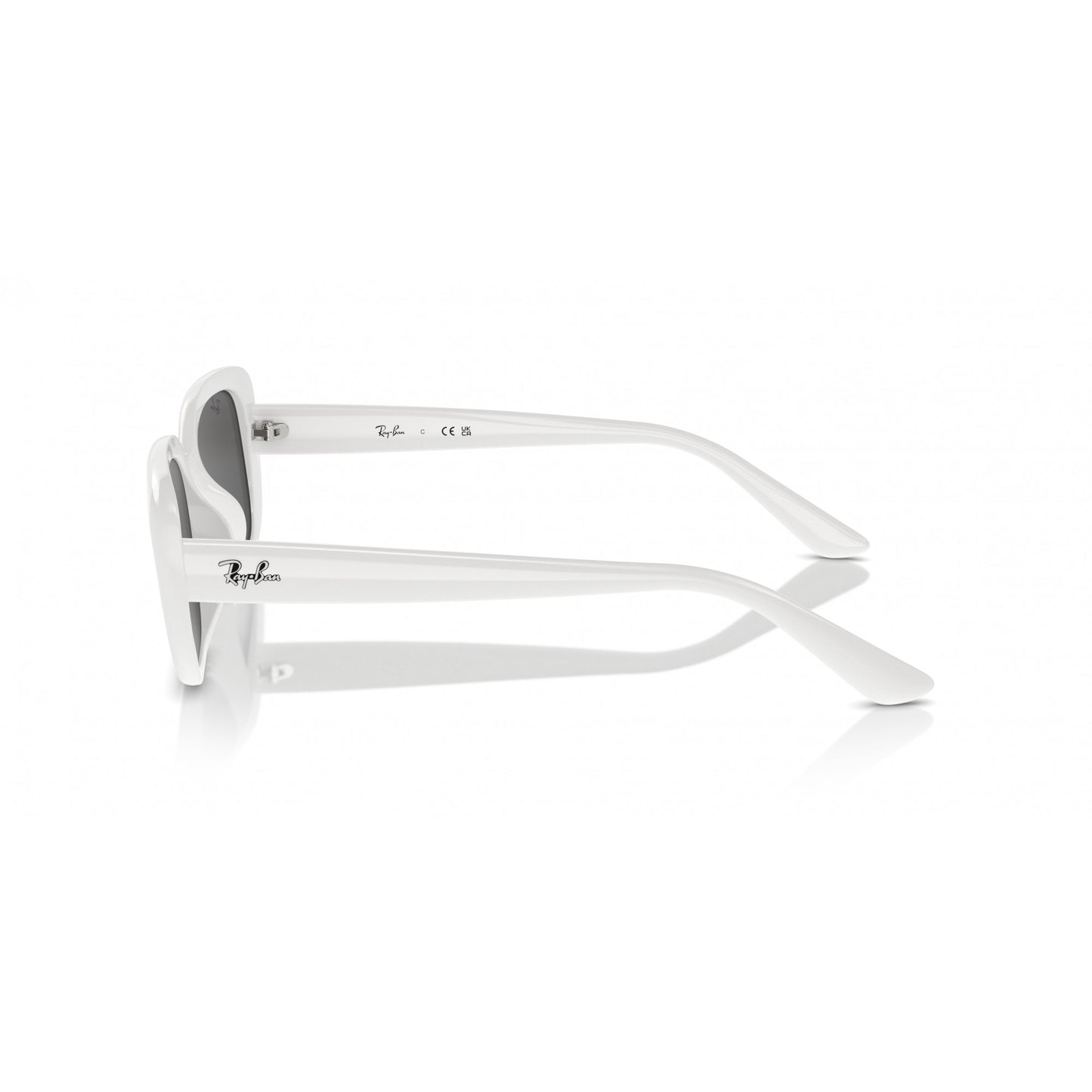 Ray-Ban 0RB4421D