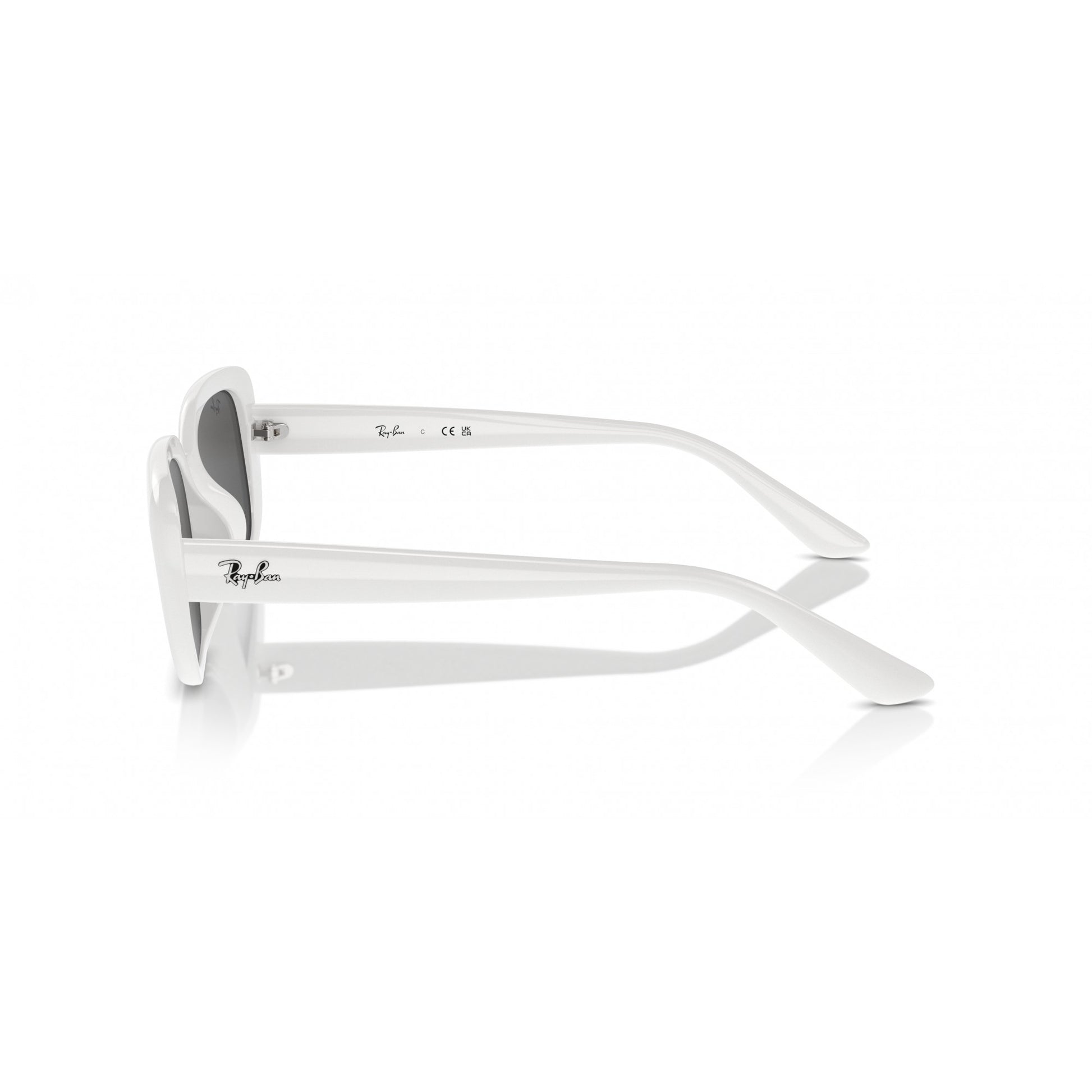 Ray-Ban 0RB4421D