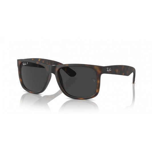 Ray-Ban 0RB4165