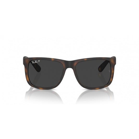 Ray-Ban 0RB4165