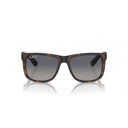 Ray-Ban 0RB4165