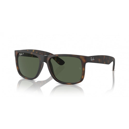 Ray-Ban 0RB4165