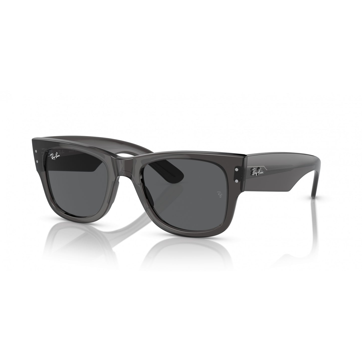 Ray-Ban 0RB0840S