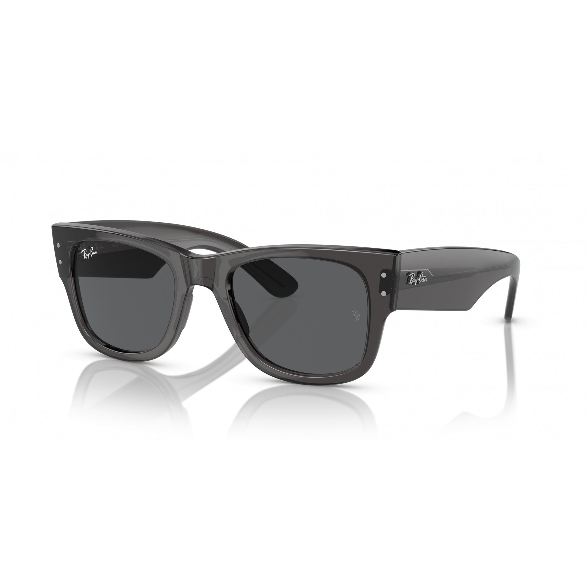 Ray-Ban 0RB0840S