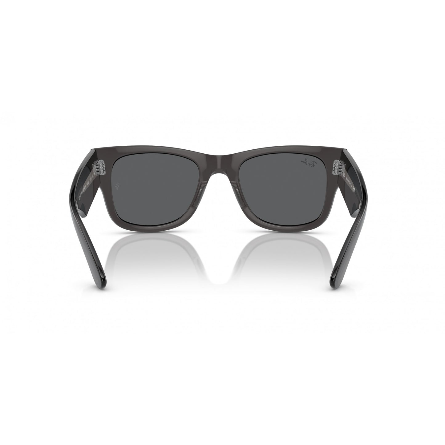 Ray-Ban 0RB0840S