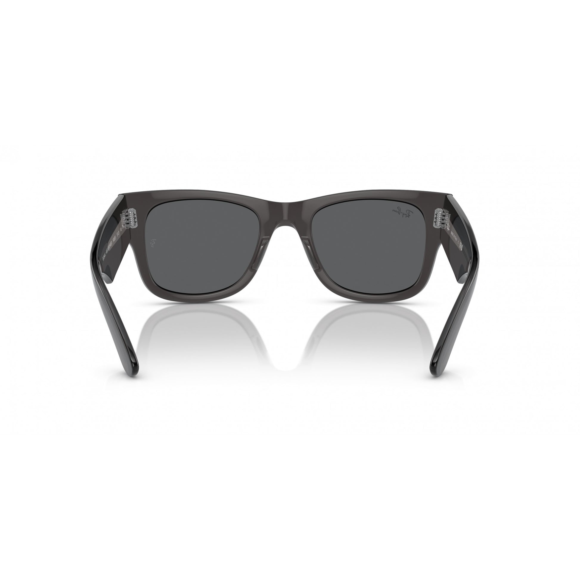 Ray-Ban 0RB0840S