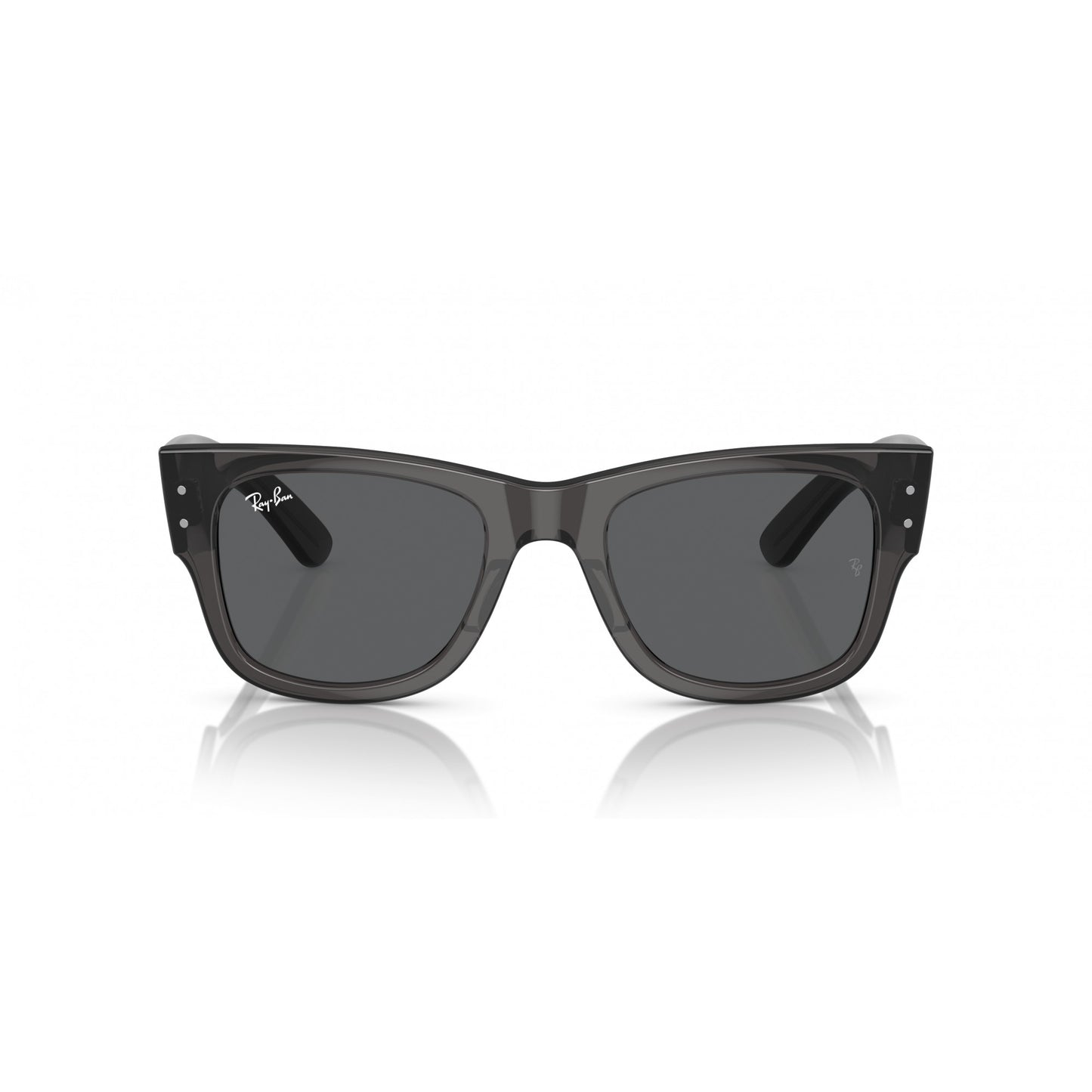 Ray-Ban 0RB0840S