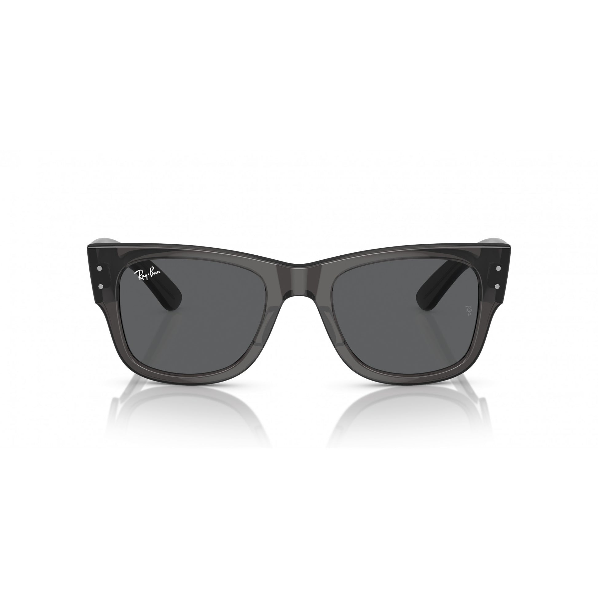 Ray-Ban 0RB0840S