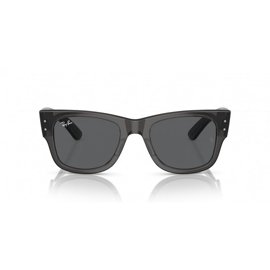 Ray-Ban 0RB0840S