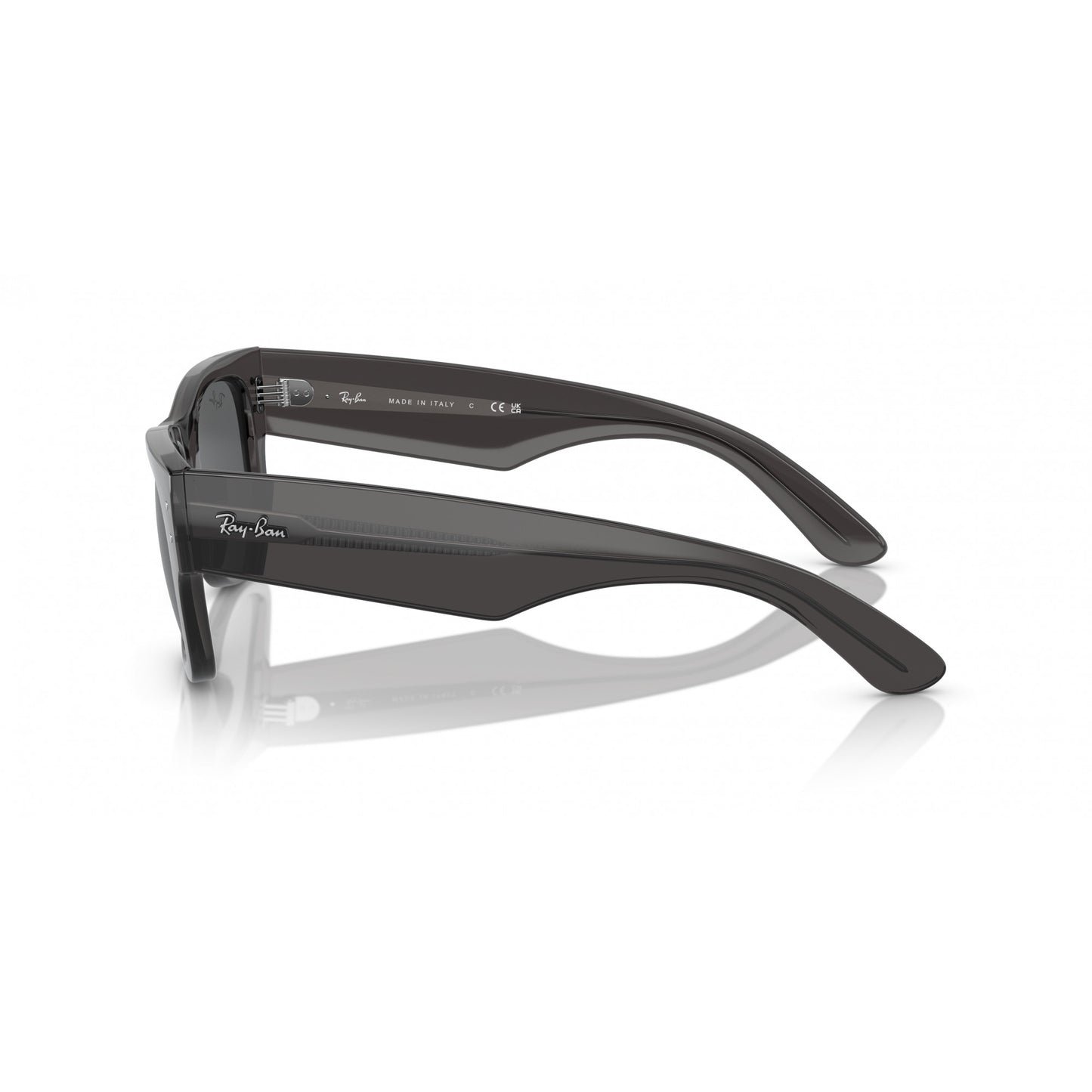 Ray-Ban 0RB0840S
