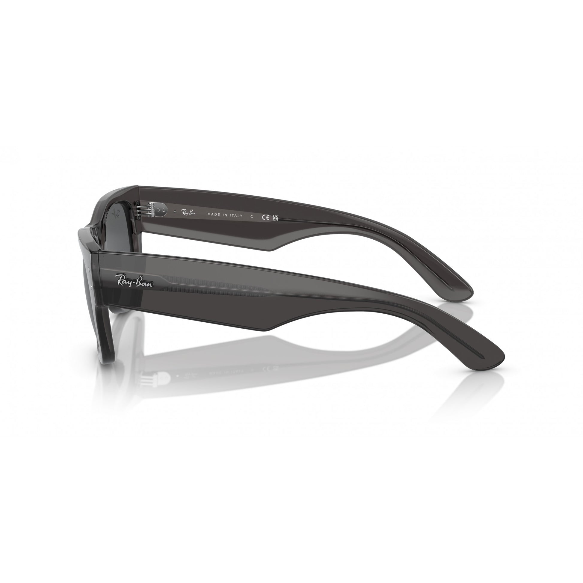 Ray-Ban 0RB0840S