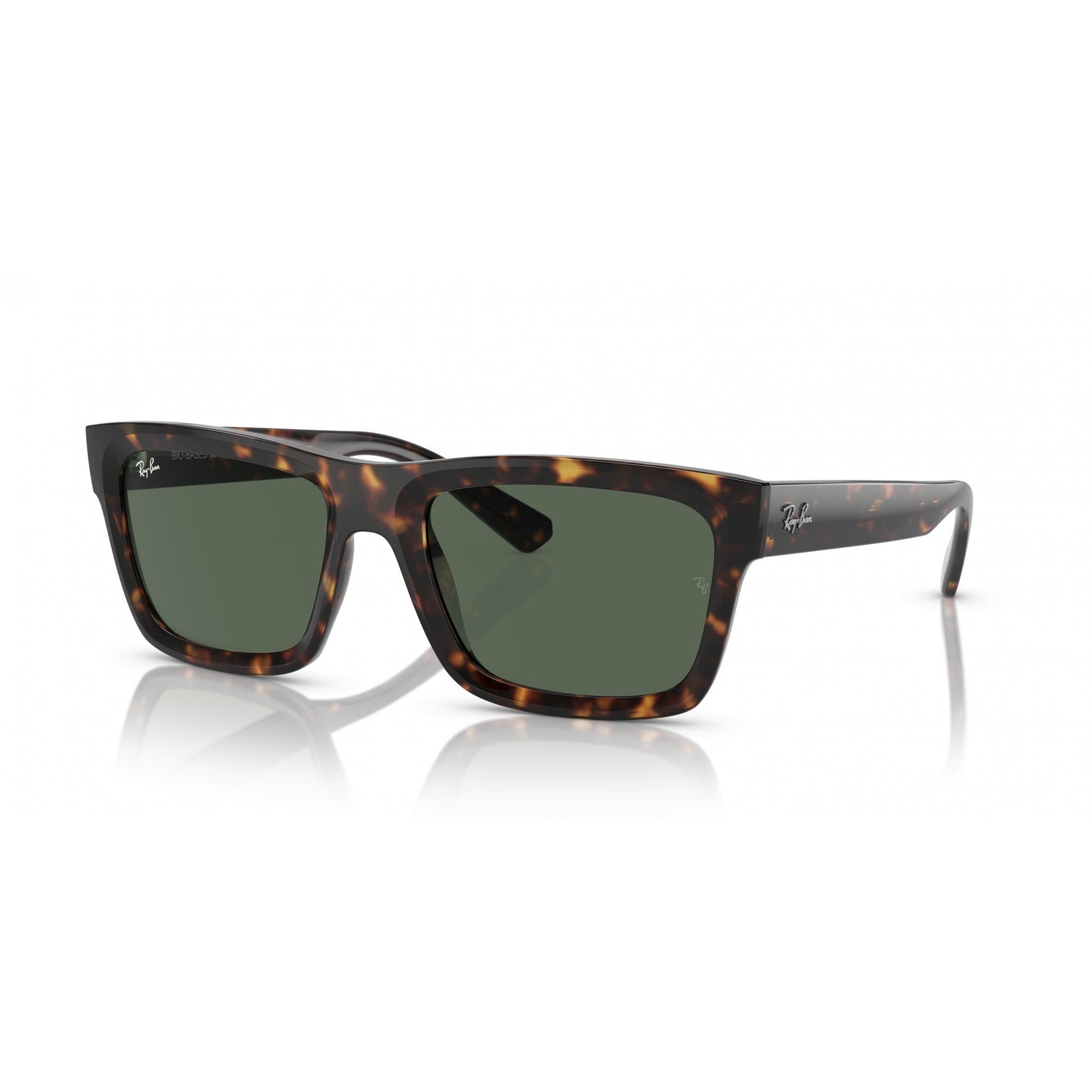 Ray-Ban 0RB4396