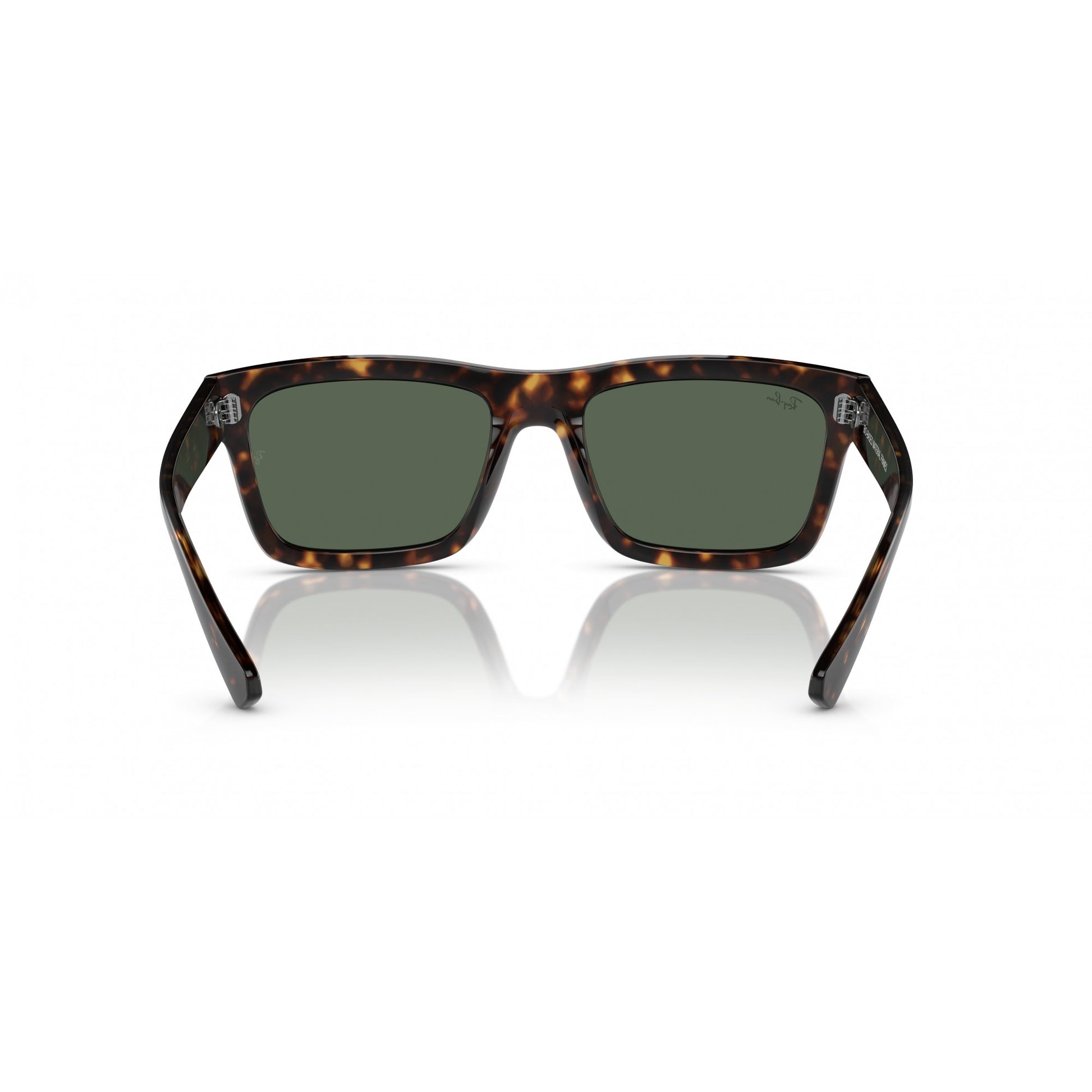Ray-Ban 0RB4396