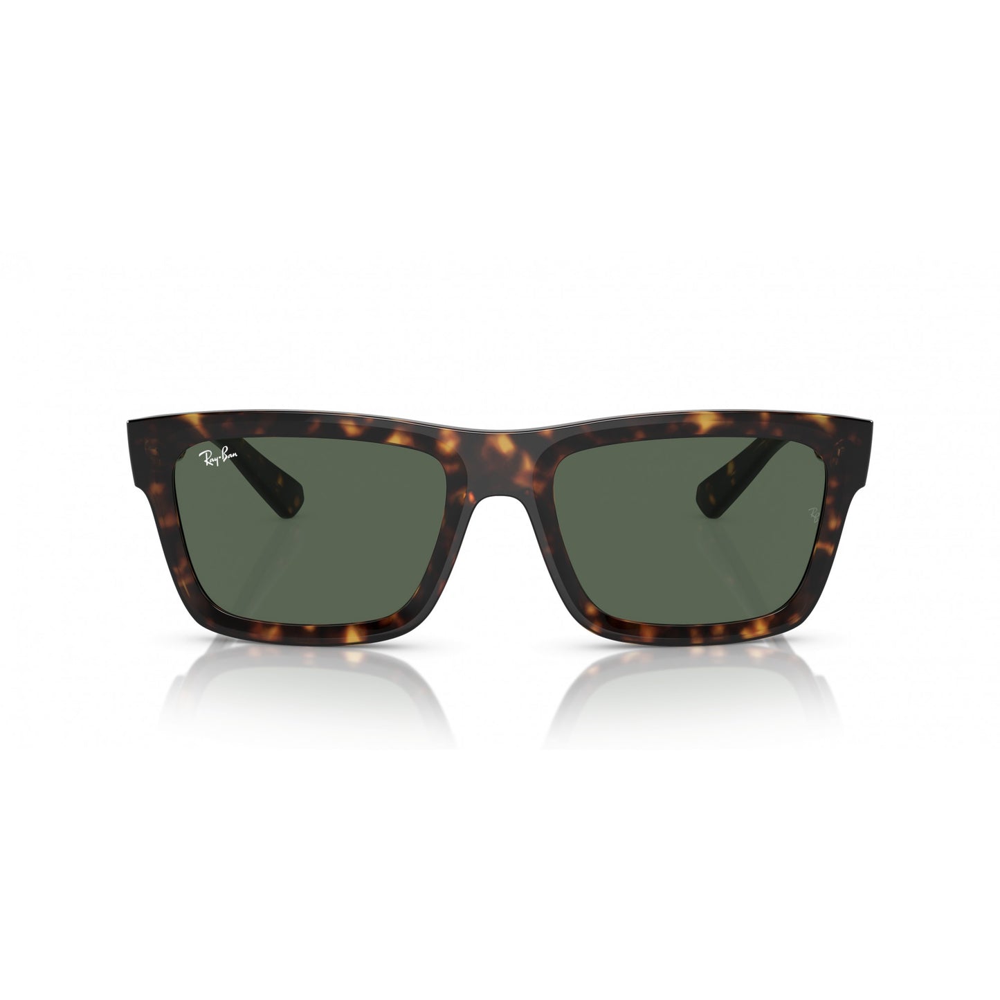 Ray-Ban 0RB4396