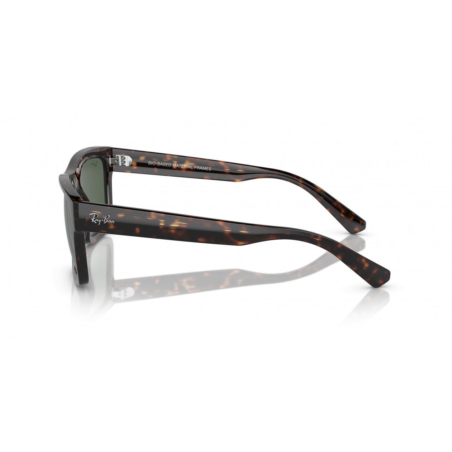 Ray-Ban 0RB4396