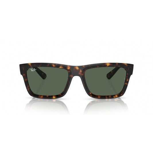 Ray-Ban 0RB4396