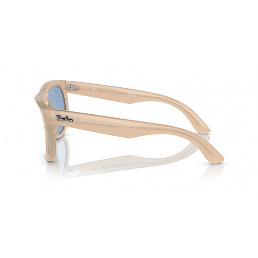 Ray-Ban 0RBR0502S