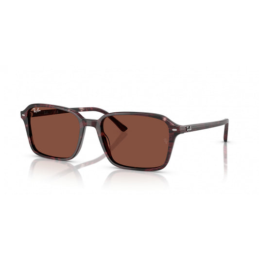 Ray-Ban 0RB2231