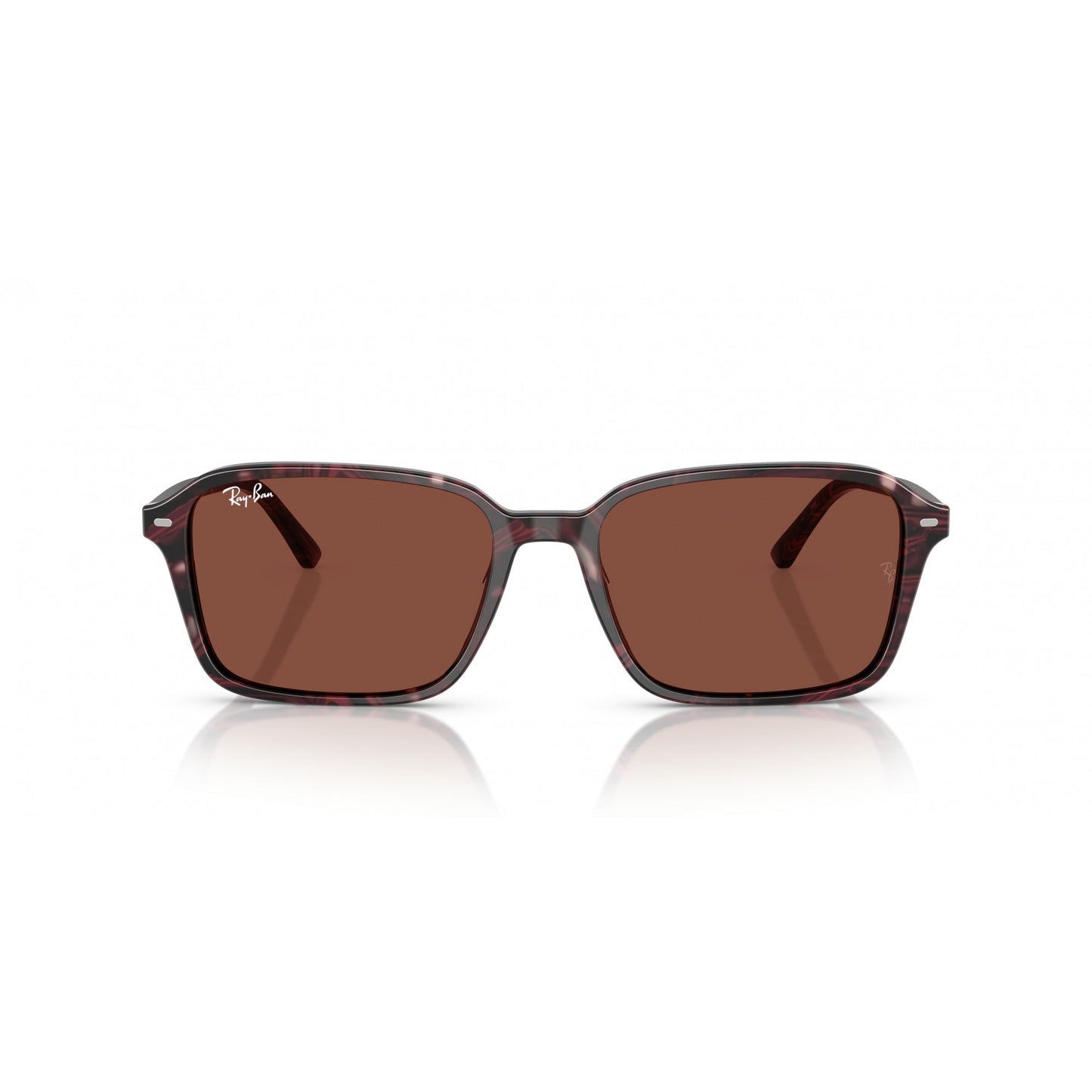 Ray-Ban 0RB2231