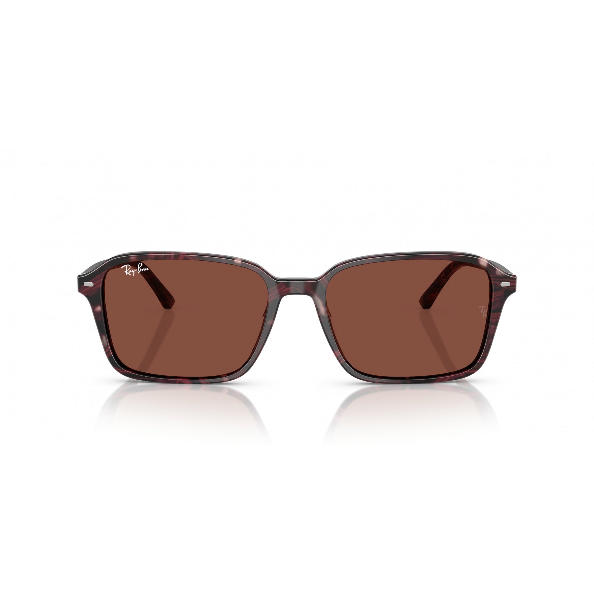 Ray-Ban 0RB2231