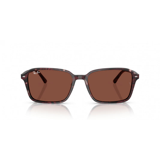 Ray-Ban 0RB2231