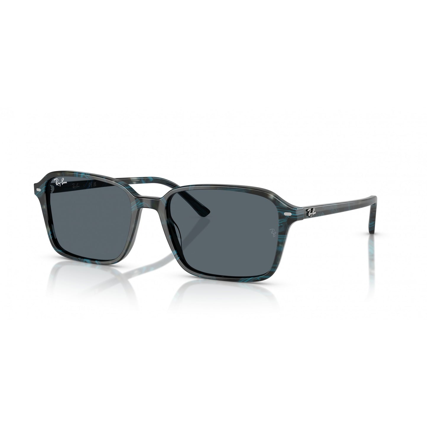 Ray-Ban 0RB2231