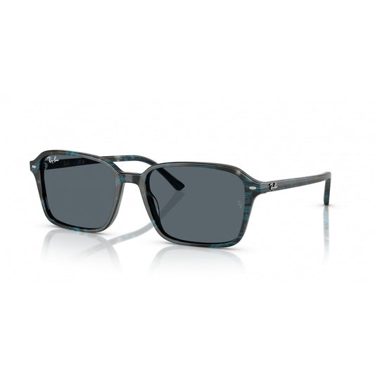 Ray-Ban 0RB2231