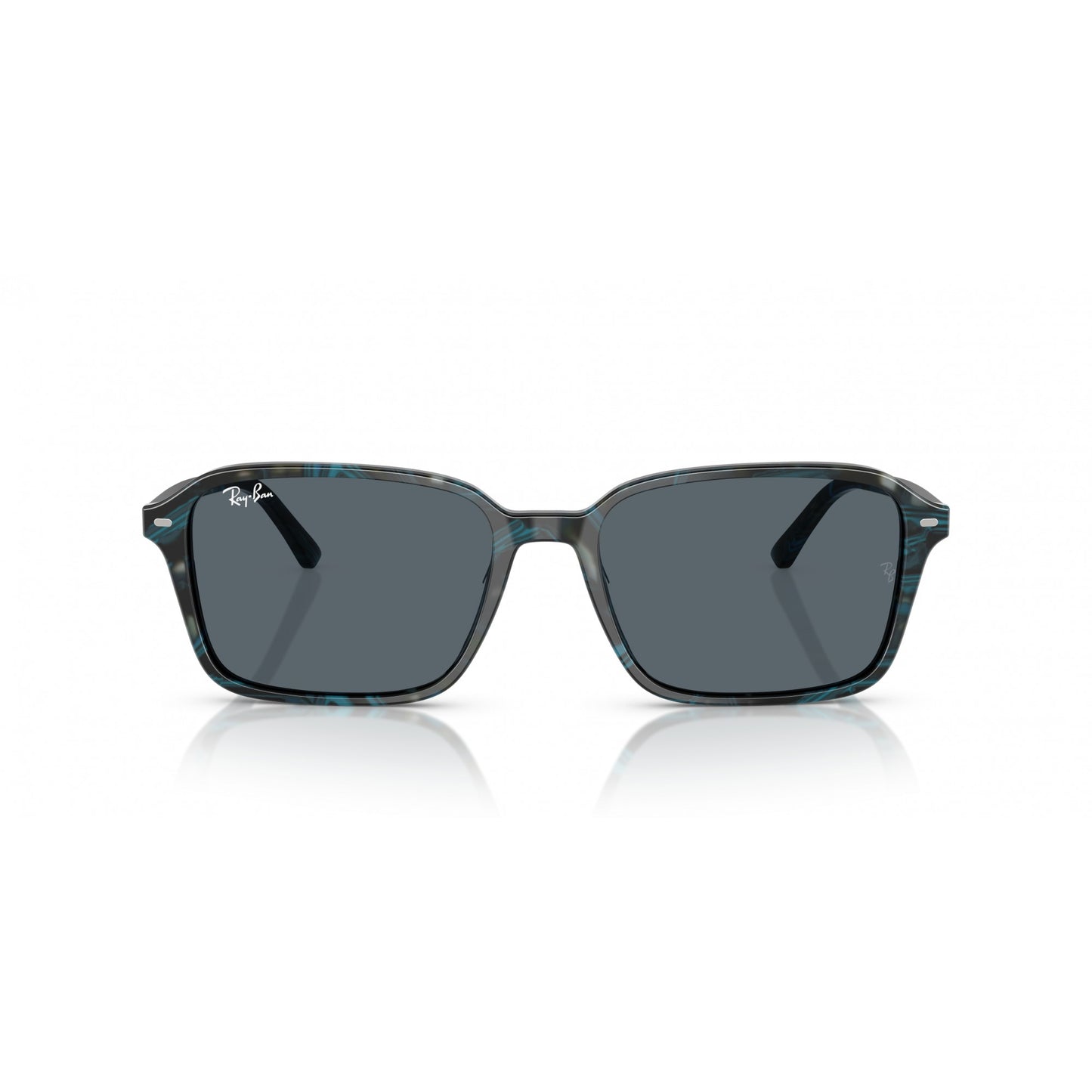 Ray-Ban 0RB2231