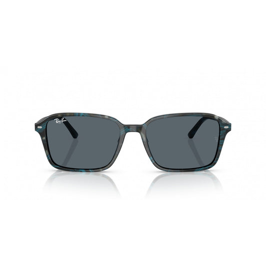Ray-Ban 0RB2231